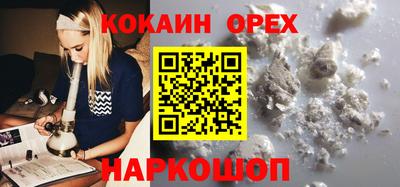 твердый Будённовск