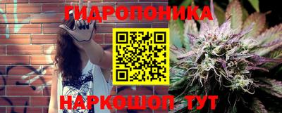 твердый Будённовск
