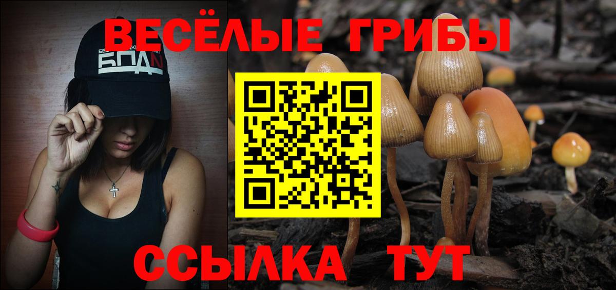 Рыбинск  Галлюциногенные грибы прущие грибы  Вход с VPN  Псилоцибиновые грибы прущие грибы 